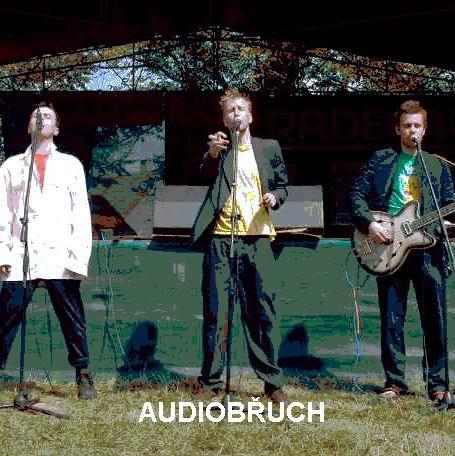 AUDIOBUCH