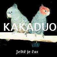 JEŠTĚ JE čAS
